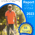 Lions Service Impact Report